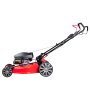 Газонокосилка бензиновая самоходная с двигателем FUBAG Honda FPL 56 SMH в Красноярске фото