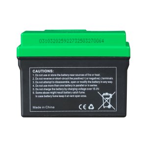 Аккумулятор FUBAG li-ion 3Ah для инверторного генератора TI 11000 A ES (арт. 646211) купить в Красноярске